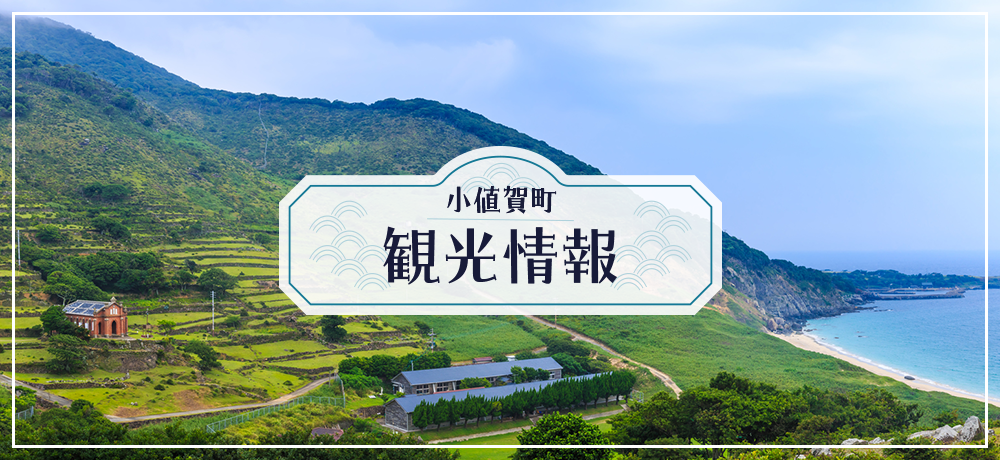 観光情報