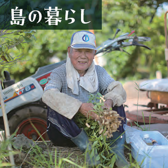 島の暮らし