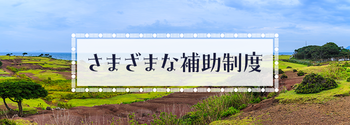 さまざまな補助制度