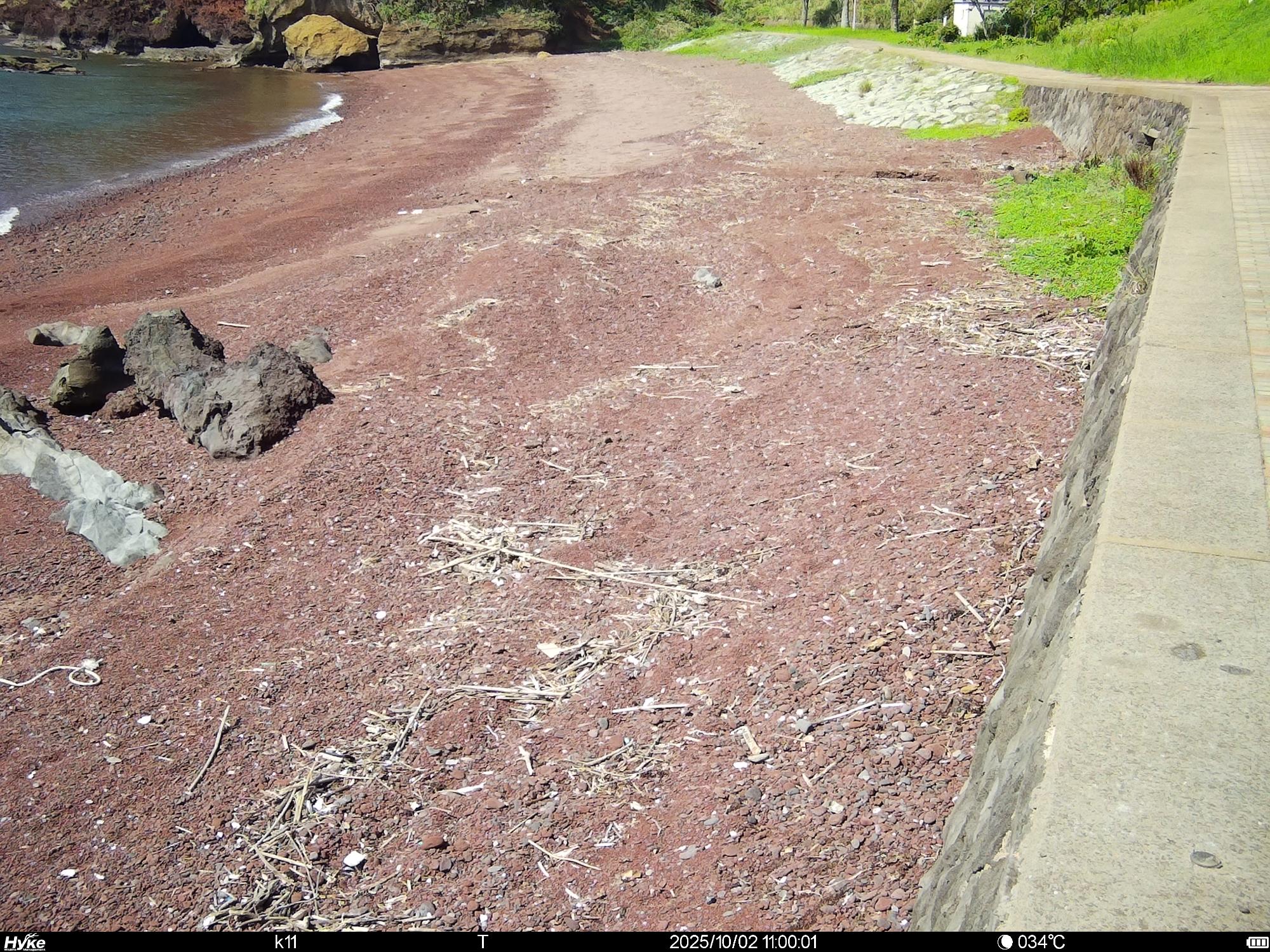 赤浜海岸ライブカメラ